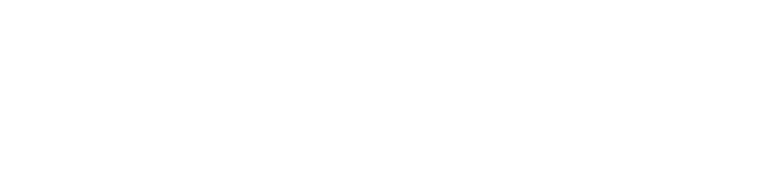 알솔루션소개 1 안정적이고 신뢰성이 높은 정품 통합알 API